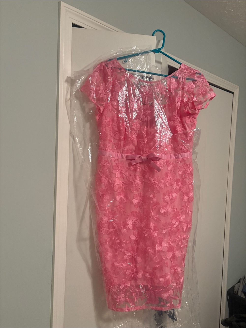 Adrianna Papell Pink Floral Lace Party Dress with Bow